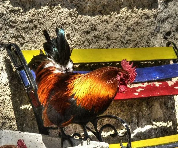 Séjour à la ferme Cascina Del Sole