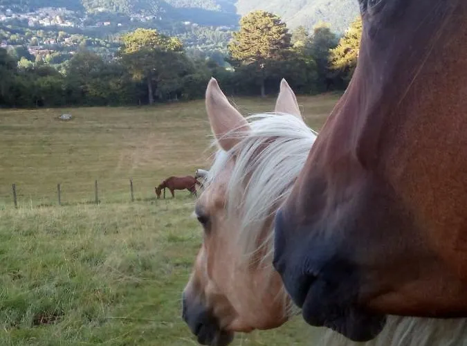 Séjour à la ferme Cascina Del Sole Asso