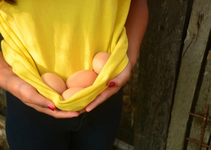 Séjour à la ferme Cascina Del Sole