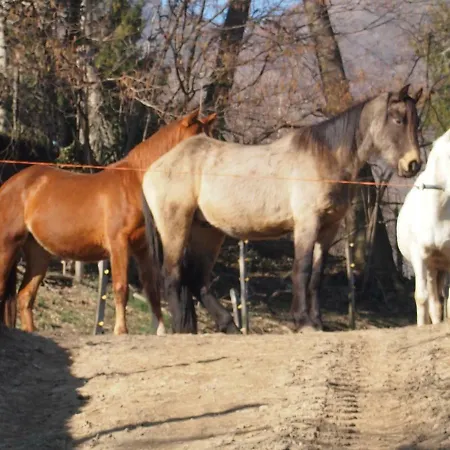 Cascina Del Sole
